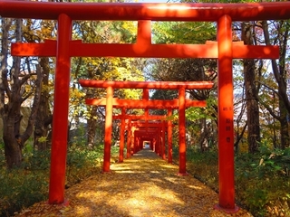 s-2019・10伏見稲荷神社 (13).jpg
