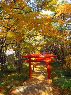 s-2019・10伏見稲荷神社 (16).jpg