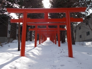 s-DSCN7601.jpg